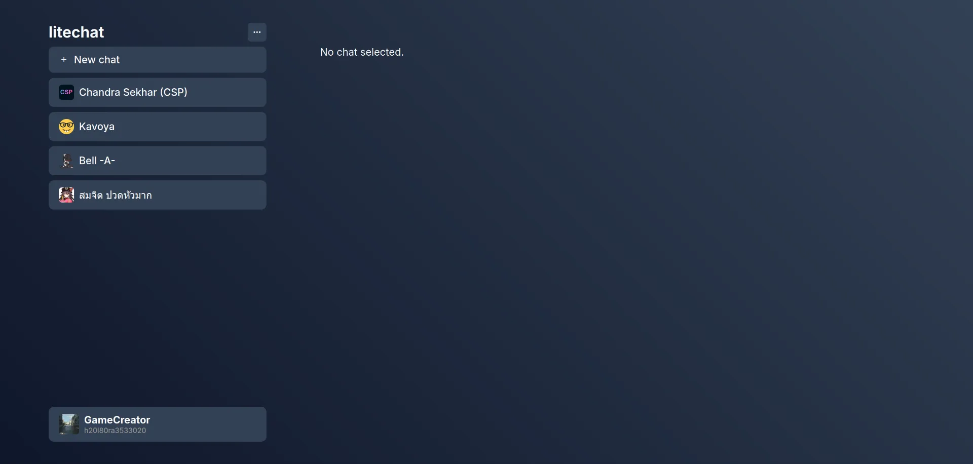A screenshot of litechat's interface.
